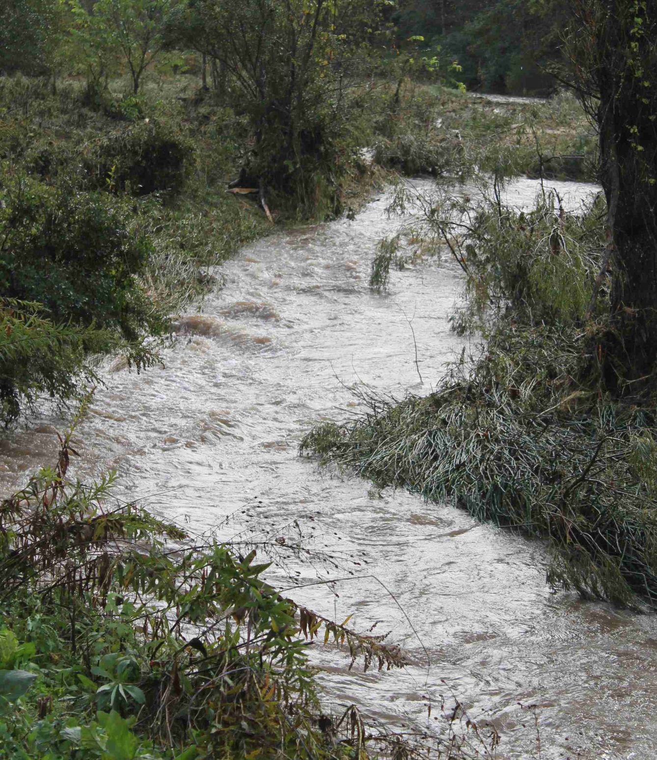 Rushing flood water